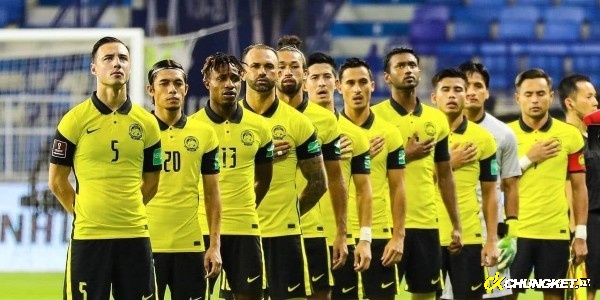 Đội tuyển Malaysia tại AFF Cup 