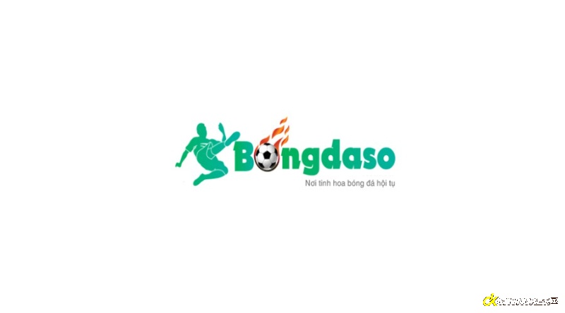 Bongdasocom – Diễn đàn bóng đá chất lượng nhất 2023