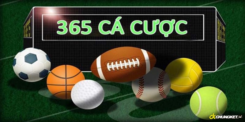 356 Ca Cuoc – Trang cược xanh chín cho mọi cược thủ