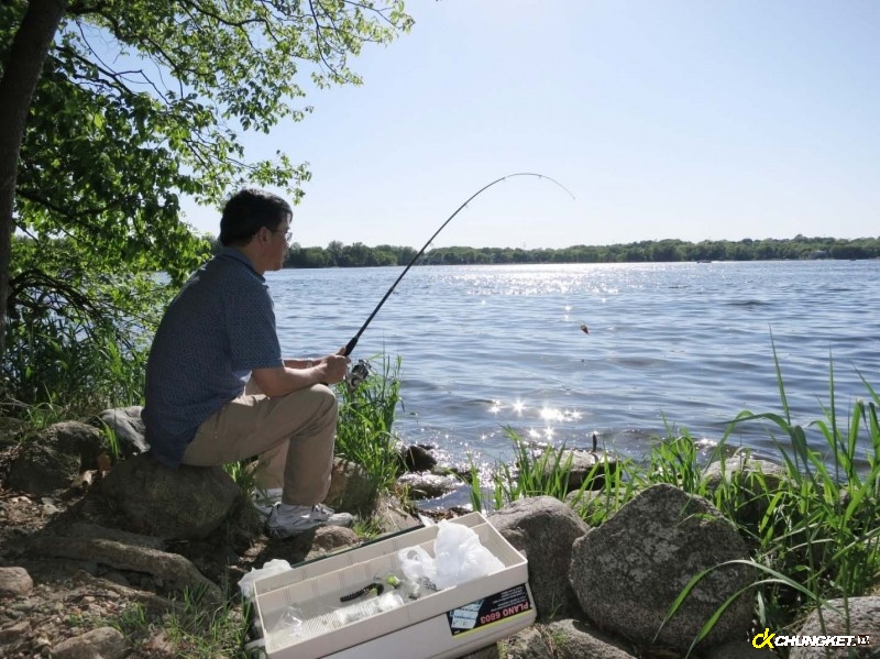 Kinh nghiệm câu cá mùa hè từ các chuyên gia
